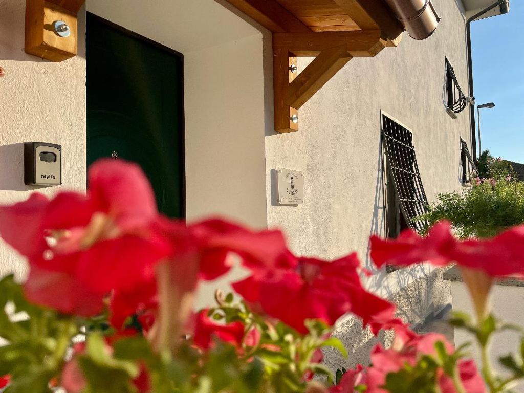 Il Sartore Vetralla Exterior foto