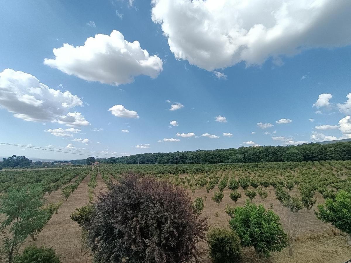 Il Sartore Vetralla Exterior foto